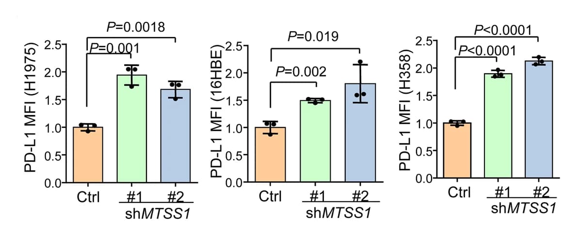 Open access visualization of Bar Plot, Error Bars, Cell Surface PD-L1, Flow Cytometry, Mean Fluorescence Intensity (MFI)