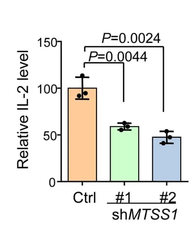 Open access visualization of Bar Plot, Error Bars, IL-2 Levels, Supernatants, Jurkat Cells