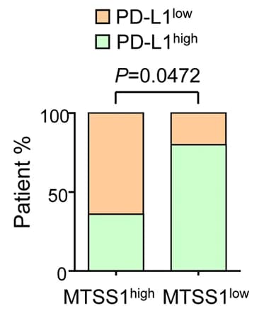 Open access visualization of Stacked Bar Plot, Immunohistochemistry, PD-L1, Human LUAD Samples, MTSS1 Expression