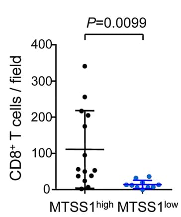 Open access visualization of Scatter Plot, Error Bars, Immunohistochemistry, CD8+ T Cells, Human LUAD Samples