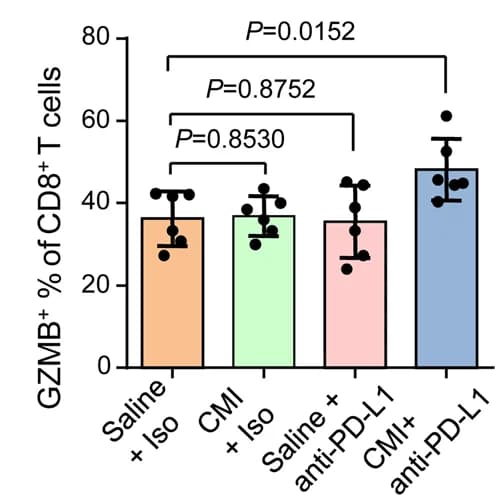 Open access visualization of Bar Plot, Error Bars, PMBC-humanized NSG Mice, H1975 Xenograft Tumors, Clomipramine