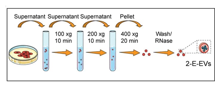 Open access visualization of Workflow, Flowchart, Illustration, Flow chart, Extracellular Vesicles