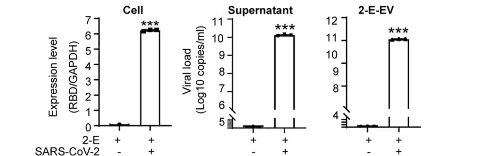 Open access visualization of Bar Plot, Error Bars, qRT-PCR, SARS-CoV-2, Plasmid