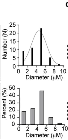 Open access visualization of Bar Plot, Histogram, Line Plot, Vesicles, SARS-CoV-2
