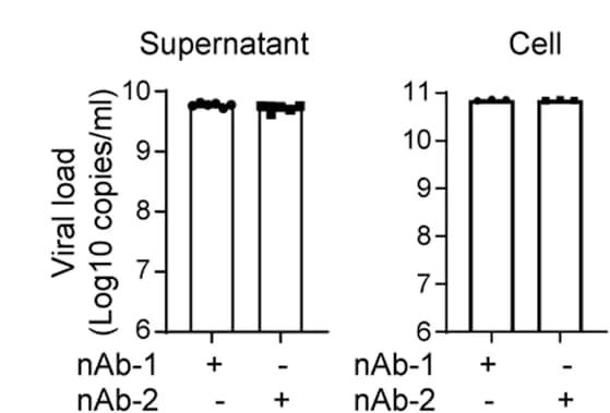 Open access visualization of Bar Plot, Error Bars, qRT-PCR, SARS-CoV-2, Cells