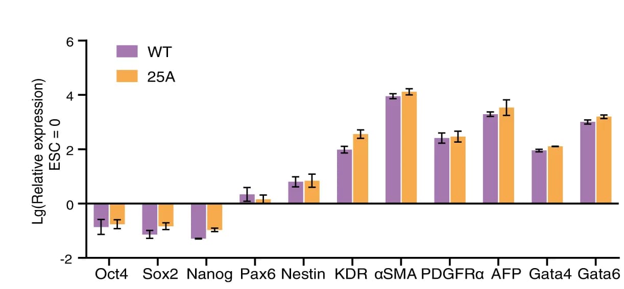 Open access visualization of Bar Plot, Error Bars, Clustered, Real-time PCR, Gene Expression