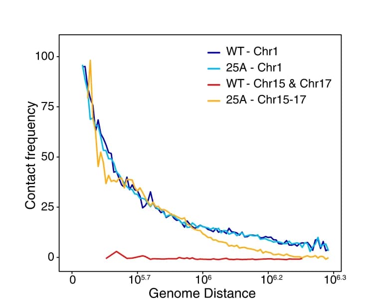 Open access visualization of Line Plot, Contact Frequency Curves, Contact Probabilities, Genomic Distances, Fusion Site