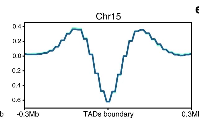 Open access visualization of Line Plot, Line Step, TAD Boundaries, WT Cells, 25A Cells