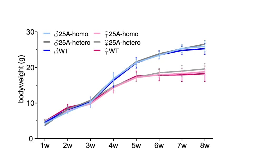 Open access visualization of Line Plot, Error Bars, Growth Curve, Postnatal Development, WT Mice
