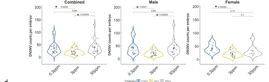 Open access visualization of Violin Plot, Scatter Plot, De Novo Mutation, Dietary Groups, Mann-Whitney U test
