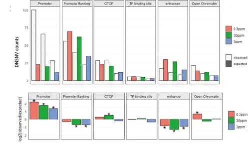 Open access visualization of Bar Plot, Clustered, DNSNV Counts, Enrichment Analysis, Promoter