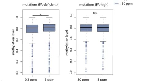 Open access visualization of Box Plot, Scatter Plot, Methylation Levels, Dietary Groups, Mutations