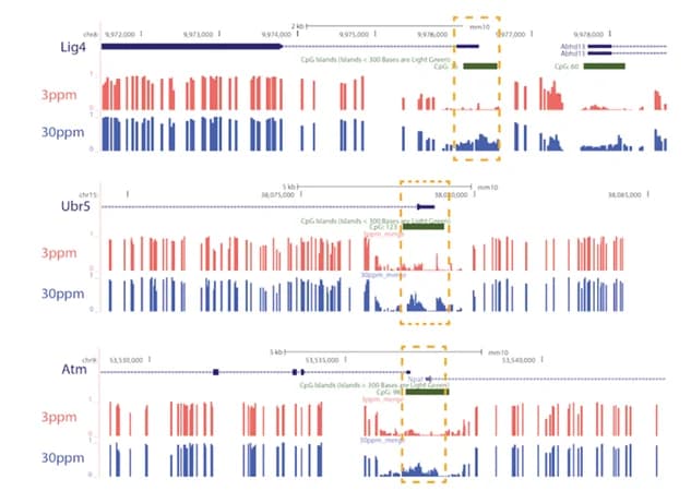 Open access visualization of Line Plot, Hypermethylation DMRs, DNA Repair Genes, Promoters
