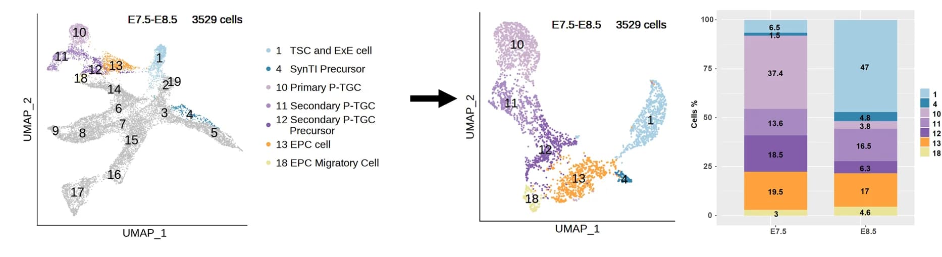 Open access visualization of UMAP, Stacked Bar Plot, UMAP Plot, Trophoblast Cells, Cell Clusters