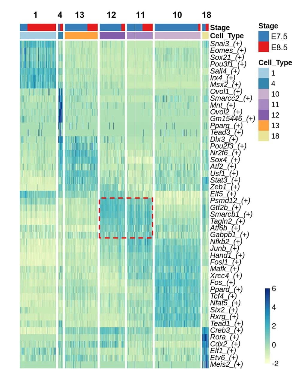 Open access visualization of Heatmap, Clustered, Bar Plot, Transcription Factors, Mouse Trophoblast Cells