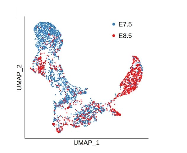 Open access visualization of Scatter Plot, UMAP, UMAP Plot, Sampling Time Points, Cells