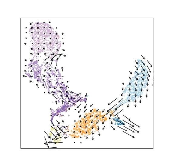 Open access visualization of Scatter Plot, UMAP, RNA Velocity Field, UMAP Plot, Outlier Cells