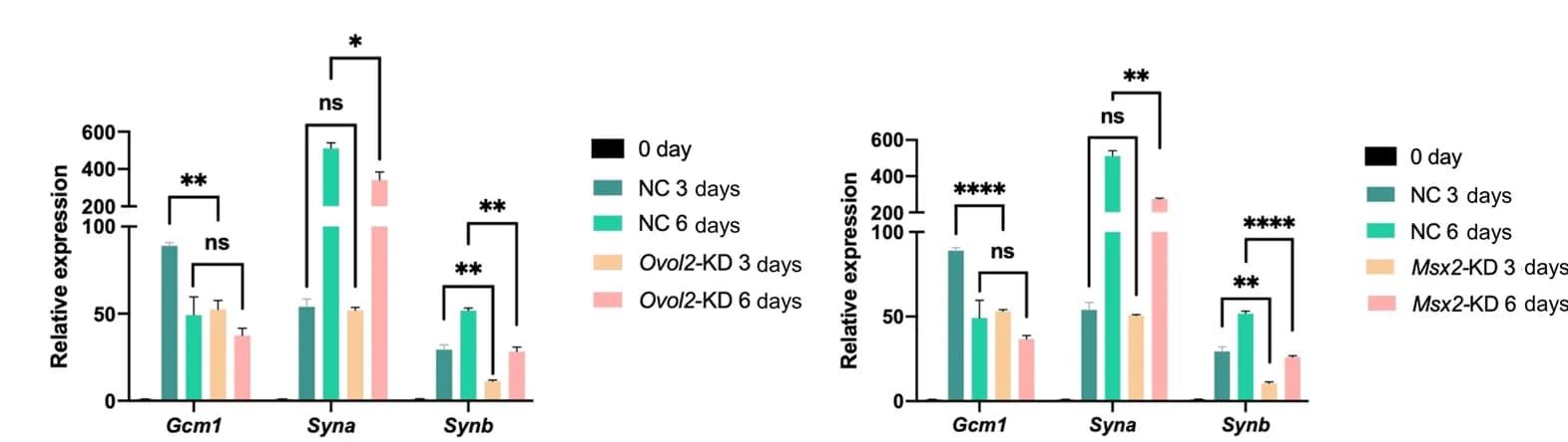 Open access visualization of Bar Plot, Error Bars, Clustered, RT-qPCR, Gcm1 Expression