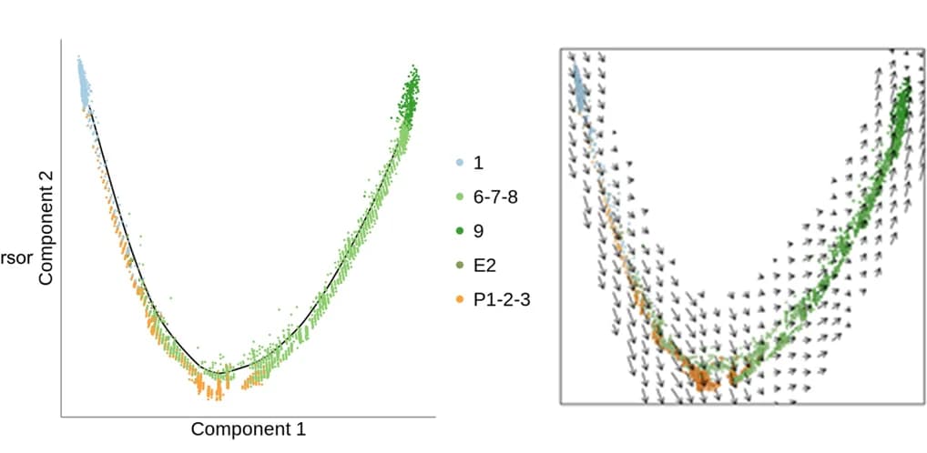 Open access visualization of Scatter Plot, Regression Plot, Pseudotime ordering, Cell clusters, RNA velocity field