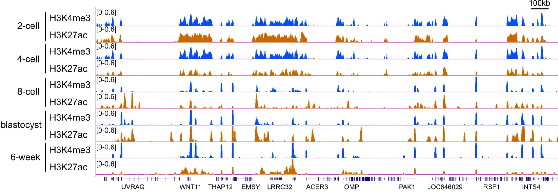 Open access visualization of Line Plot, Density Plot, H3K27ac, H3K4me3, Early Embryos