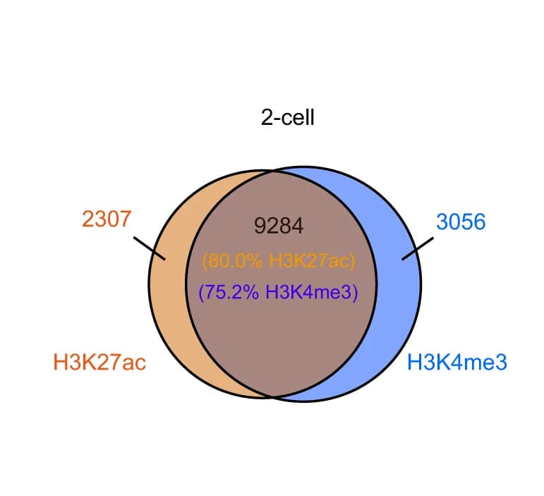 Open access visualization of Venn Diagram, H3K27ac, H3K4me3, 2-Cell Embryos