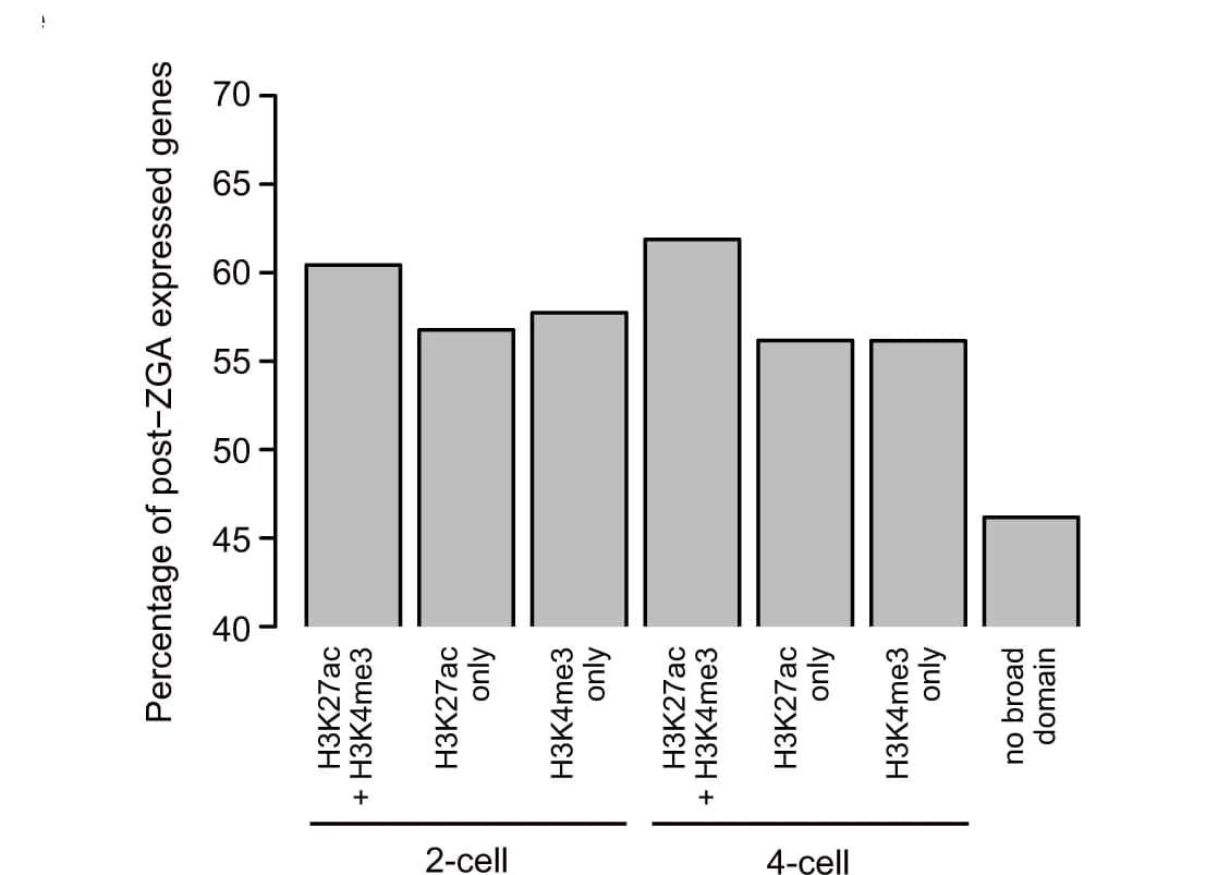 Open access visualization of Bar Plot, Genes, Promoters, H3K27ac, H3K4me3