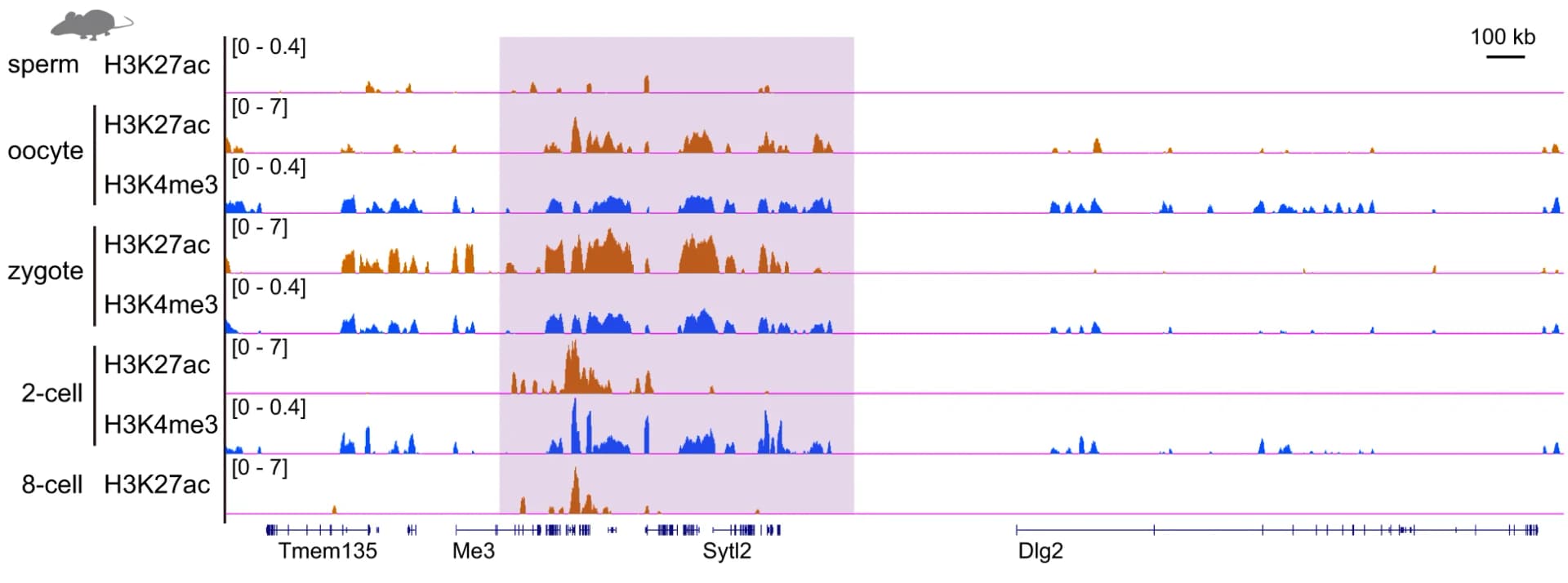 Open access visualization of Line Plot, Genome Browser, H3K27ac, H3K4me3, Mouse Gametes