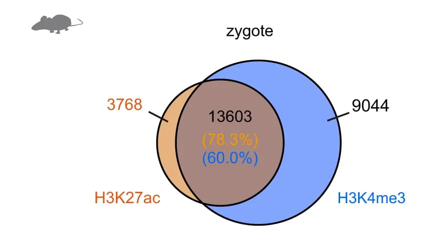 Open access visualization of Venn Diagram, H3K27ac, H3K4me3, Mouse Zygote, Overlapping Domains