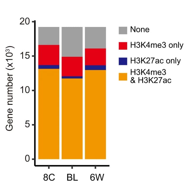 Open access visualization of Stacked Bar Plot, H3K27ac, H3K4me3, Promoters, Human Embryos