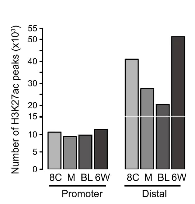 Open access visualization of Bar Plot, Clustered, Bar Plots, Promoter H3K27ac Peaks, Distal H3K27ac Peaks