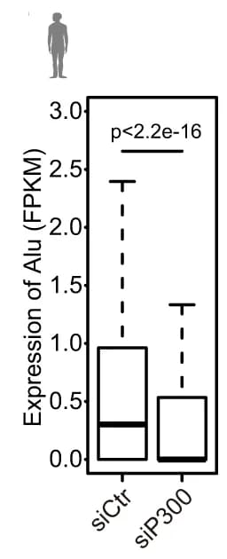 Open access visualization of Box Plot, Boxplots, Gene Expression, Retrotransposons, Control