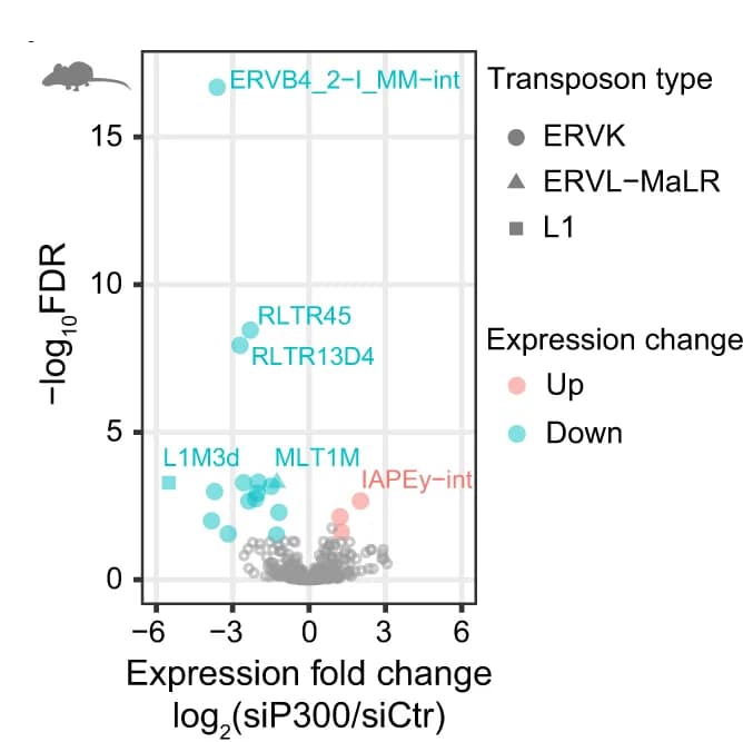 Open access visualization of Scatter Plot, Volcano Plot, Plot, Gene Expression, Fold Change