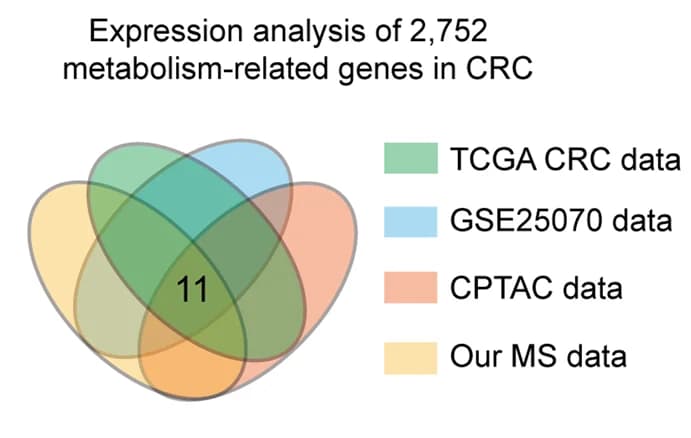 Open access visualization of Venn Diagram, Differentially Expressed Genes, Transcription Levels, Protein Levels, CRC