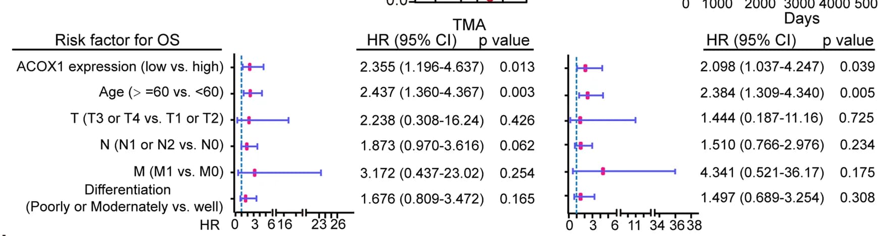 Open access visualization of Forest Plot, Error Bars, ACOX1 Expression, Prognostic Factor, Poor Survival