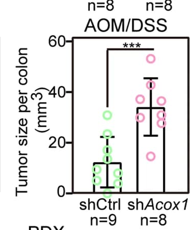 Open access visualization of Box Plot, Scatter Plot, Tumor Sizes, C57BL/6 Mice, Control Group