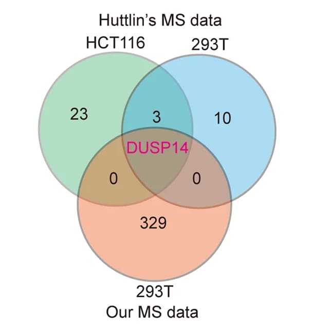Open access visualization of Venn Diagram, DUSP14, ACOX1, Interactor