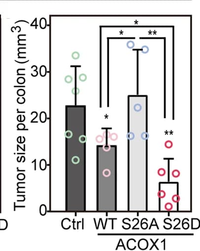 Open access visualization of Bar Plot, Error Bars, Tumor Sizes, Mice, Control Group