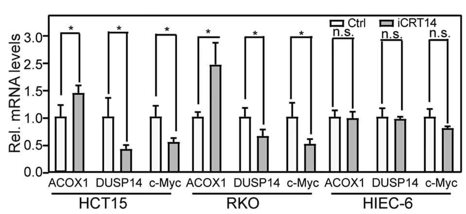 Open access visualization of Bar Plot, Error Bars, Clustered, ACOX1 Expression, DUSP14 Expression