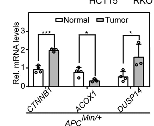 Open access visualization of Bar Plot, Error Bars, Clustered, ACOX1 Expression, DUSP14 Expression