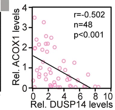 Open access visualization of Scatter Plot, Regression Plot, Pearson Correlation Analysis, DUSP14, ACOX1