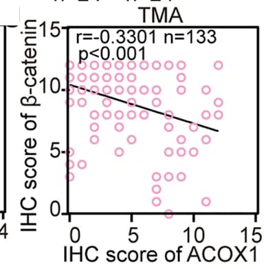 Open access visualization of Scatter Plot, Regression Plot, Pearson Correlation Analysis, Beta-catenin, ACOX1