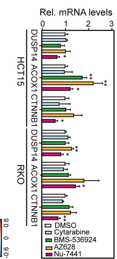 Open access visualization of Bar Plot, Error Bars, Nu-7441, DUSP14-ACOX1-beta-catenin axis, HCT15 cells