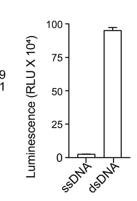 Open access visualization of Bar Plot, Error Bars, Methyltransferase Assay, MTase-Glo Assay, Oligonucleotides
