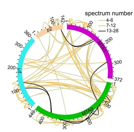 Open access visualization of Chord, Cross-links, MTA1 Complex, Circle Plot, Spectra