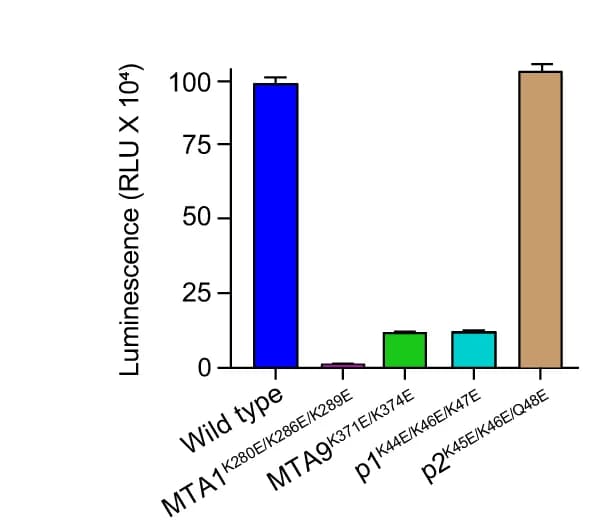 Open access visualization of Bar Plot, Error Bars, MTase Activities, MTA1 Complex, Mutant Complexes