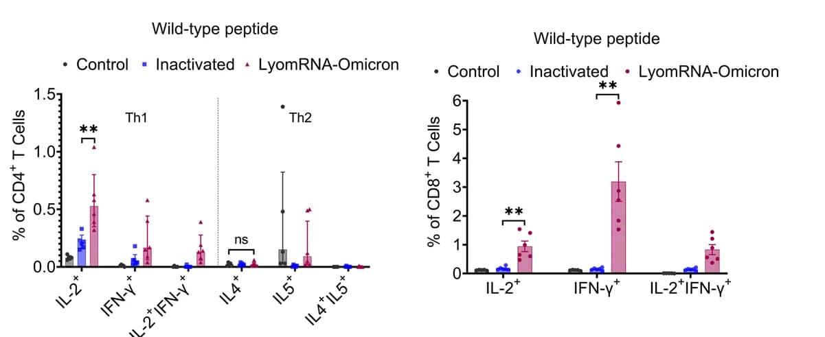 Open access visualization of Bar Plot, Error Bars, Scatter Plot, Mice, LyomRNA-Omicron