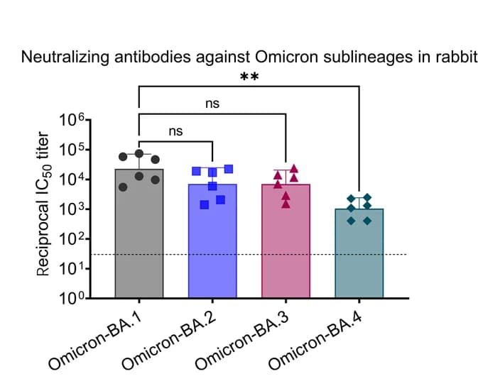 Open access visualization of Bar Plot, Rabbits, Vaccines, Plasma, Neutralizing Antibodies