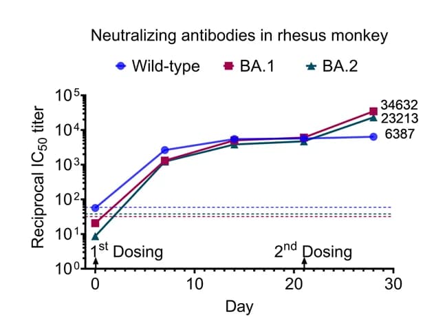 Open access visualization of Line Plot, Monkeys, LyomRNA-Omicron, Blood Samples, Neutralizing Antibodies