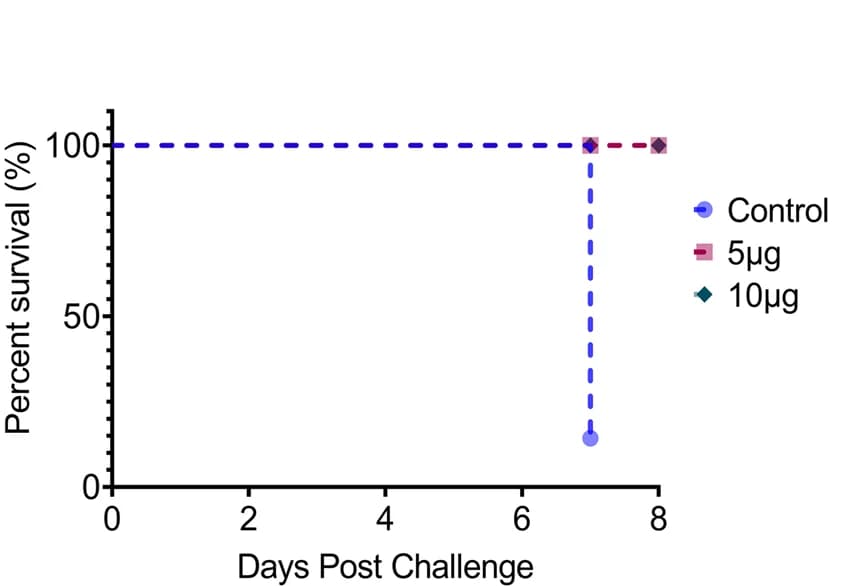 Open access visualization of Line Plot, Survival Curve, K18-hACE2 Transgenic Mice, LyomRNA-Omicron, Omicron-BA.1