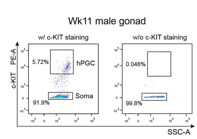 Open access visualization of Scatter Plot, hPGCs, Somatic Cells, Embryonic Gonads, FACS
